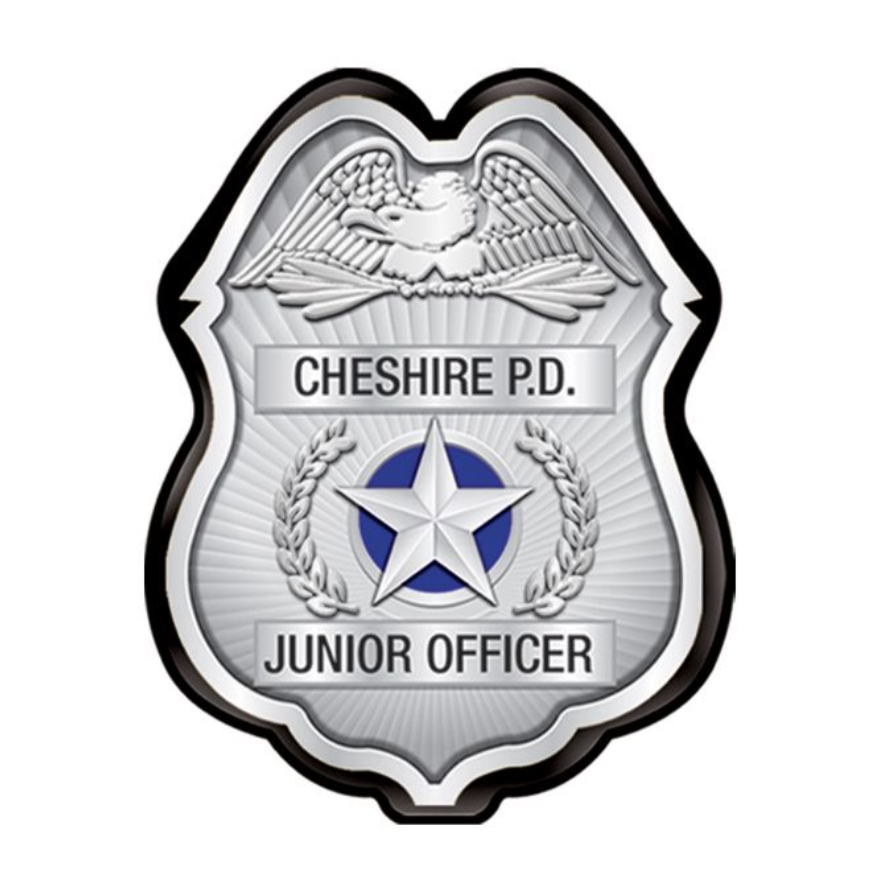 Clip-On Plastic Silver Police Badges (Custom)